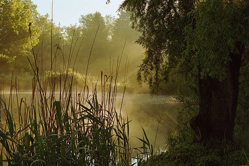 click for larger version