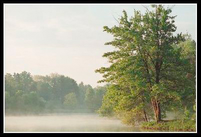 Click for larger version