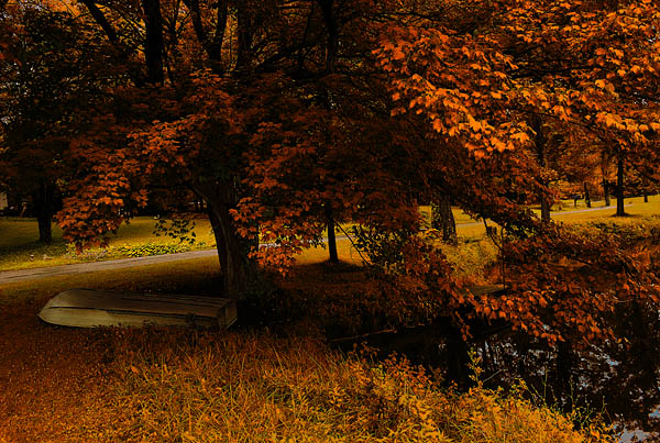 click for larger version