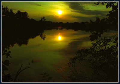 click for larger version