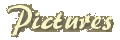 Pictures section